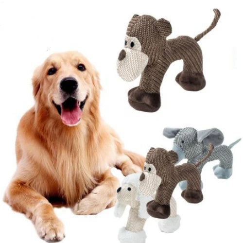 Chew toy, dog toy