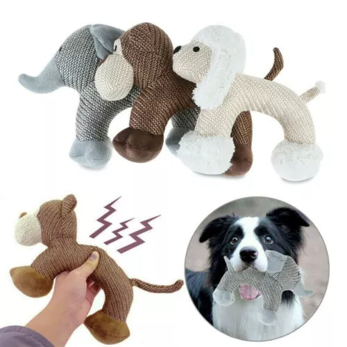 Chew toy, dog toy